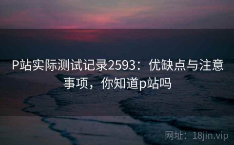 P站实际测试记录2593：优缺点与注意事项，你知道p站吗