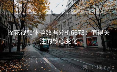 探花视频体验数据分析6673：值得关注的核心变化