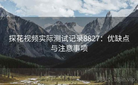 探花视频实际测试记录8827：优缺点与注意事项