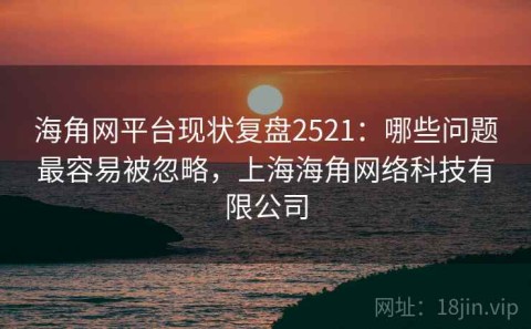 海角网平台现状复盘2521：哪些问题最容易被忽略，上海海角网络科技有限公司