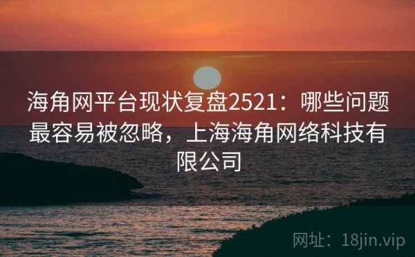 海角网平台现状复盘2521：哪些问题最容易被忽略，上海海角网络科技有限公司