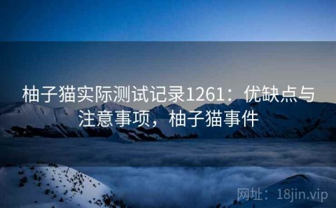 柚子猫实际测试记录1261：优缺点与注意事项，柚子猫事件