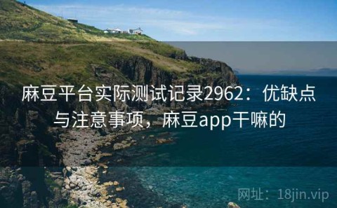 麻豆平台实际测试记录2962：优缺点与注意事项，麻豆app干嘛的