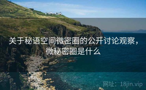 关于秘语空间微密圈的公开讨论观察，微秘密圈是什么