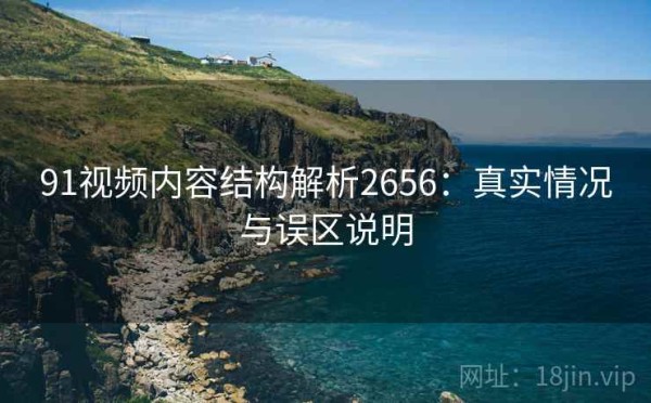 91视频内容结构解析2656：真实情况与误区说明