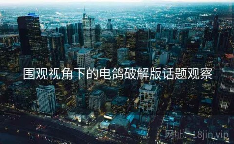 围观视角下的电鸽破解版话题观察