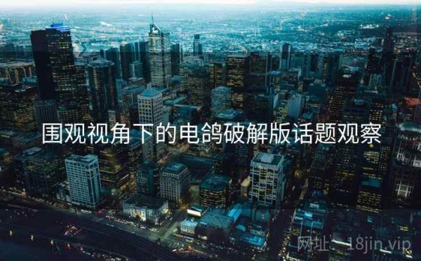 围观视角下的电鸽破解版话题观察