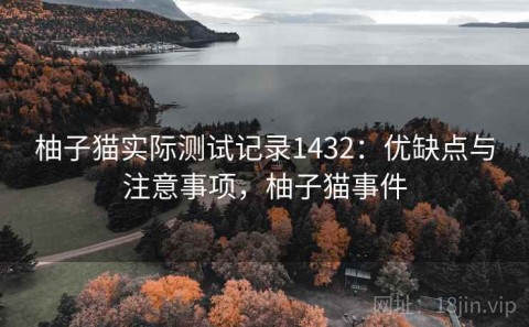 柚子猫实际测试记录1432：优缺点与注意事项，柚子猫事件