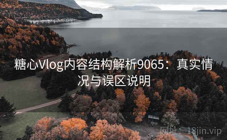 糖心Vlog内容结构解析9065：真实情况与误区说明