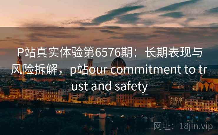 P站真实体验第6576期：长期表现与风险拆解，p站our commitment to trust and safety