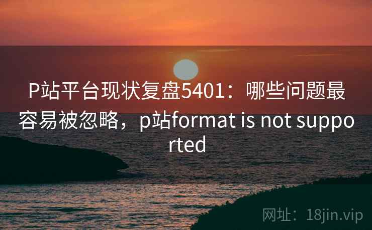 P站平台现状复盘5401：哪些问题最容易被忽略，p站format is not supported