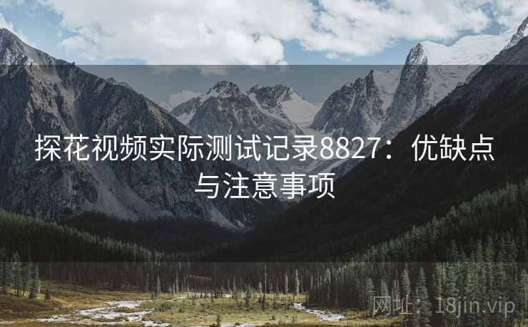 探花视频实际测试记录8827：优缺点与注意事项