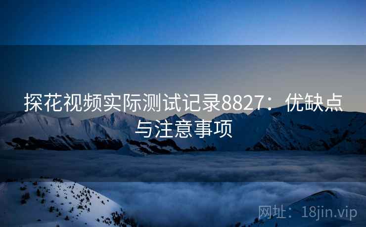 探花视频实际测试记录8827：优缺点与注意事项